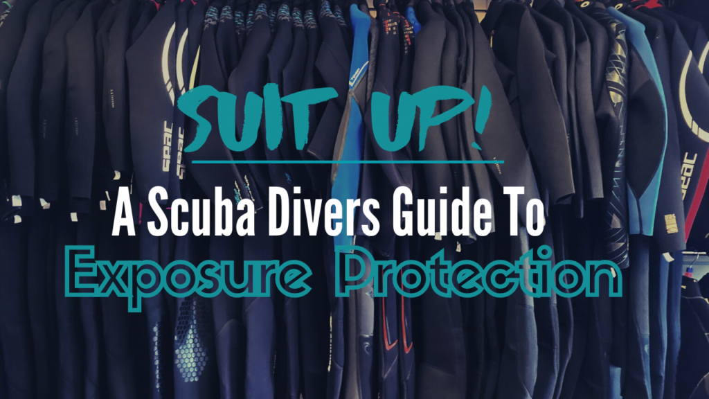 Scuba Vs Surfing Wetsuits; Is There Really Any Difference? The Scuba Species