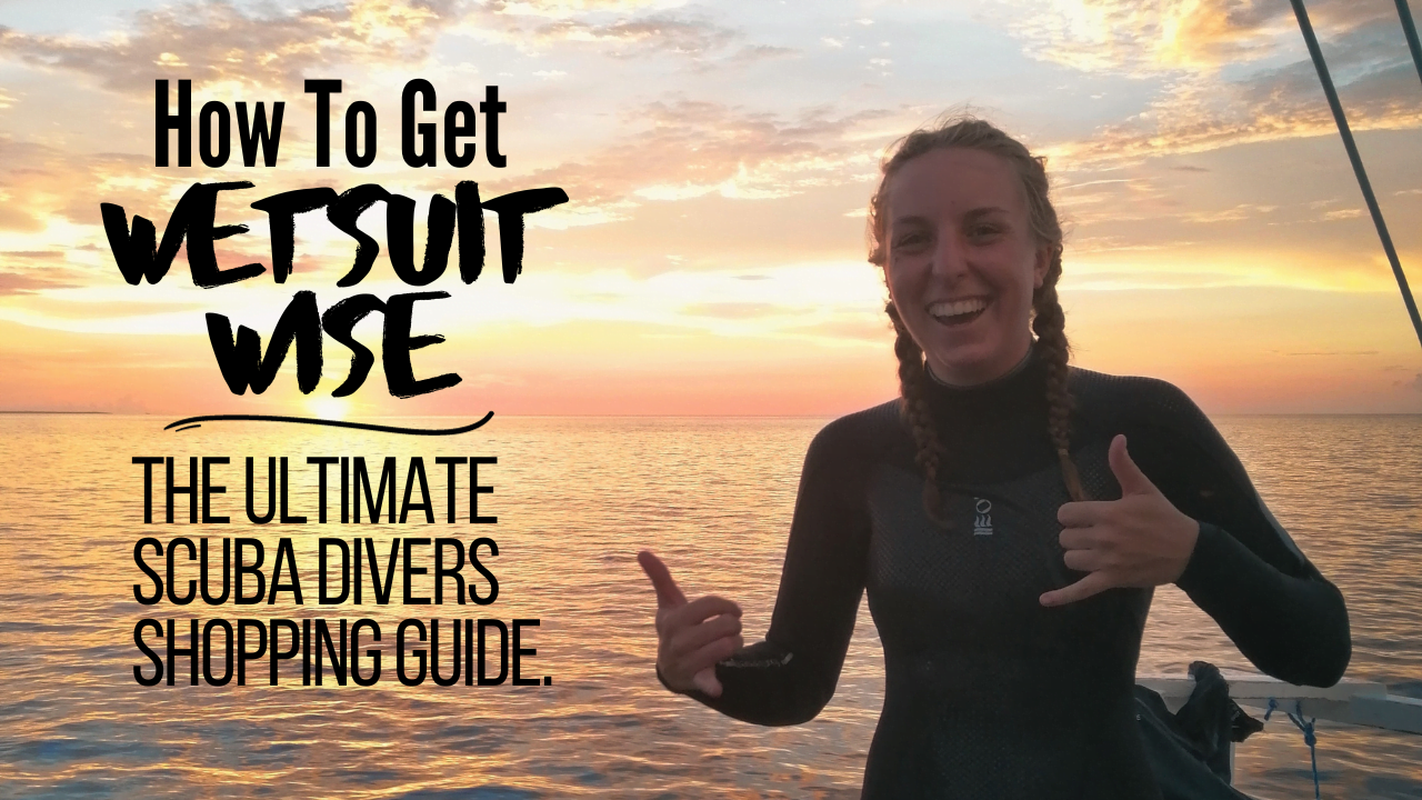 How to get Wetsuit Wise - The Ultimate Scuba Divers Shopping Guide